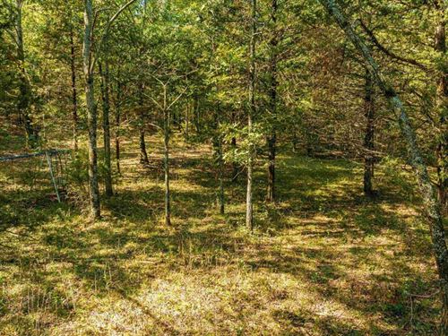 123 Acres, Whaley Creek on Prop : Cave City : Sharp County : Arkansas