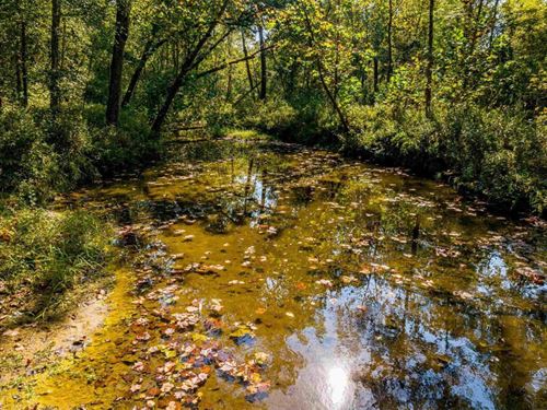 123 Acres, Whaley Creek on Prop : Cave City : Sharp County : Arkansas