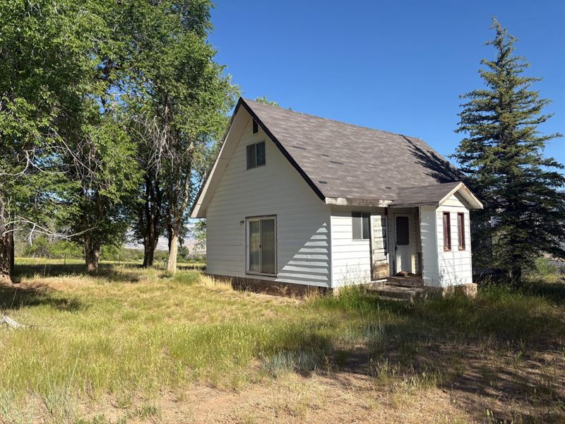 Country Home with Irrigated Acreage : Parachute : Garfield County : Colorado