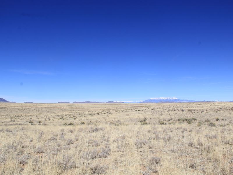 Build or Camp in Colorado : San Luis : Costilla County : Colorado