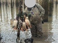 Cache Bottoms Flooded Timber : Biscoe : Monroe County : Arkansas