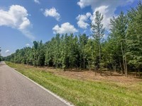 Creek Retreat : Camden : Benton County : Tennessee