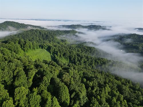 Raccoon Creek 45 : London : Laurel County : Kentucky