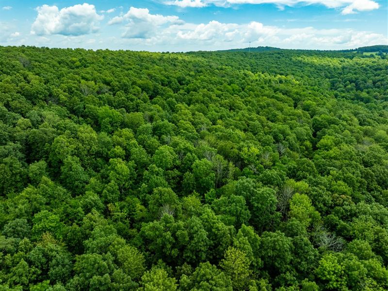 80 Acres, Hunting Property, Woo : Leslie : Stone County : Arkansas