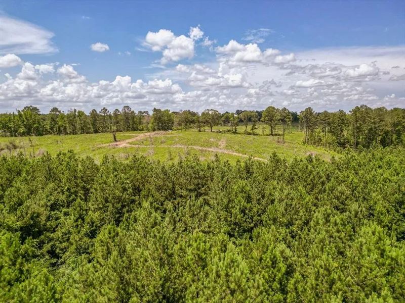 Land for Sale in Amite County, MS : Liberty : Amite County : Mississippi