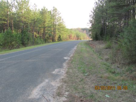 34-acre Hunting Tract Near River : Union : Union County : South Carolina