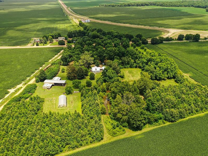 Self-Sufficient Farm with Home, Sho : Yazoo City : Yazoo County : Mississippi