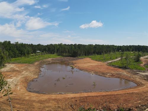 Conecuh County Road 33 Tract : Georgiana : Conecuh County : Alabama