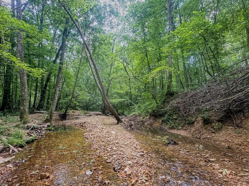 Creek Ridge : Camden : Benton County : Tennessee