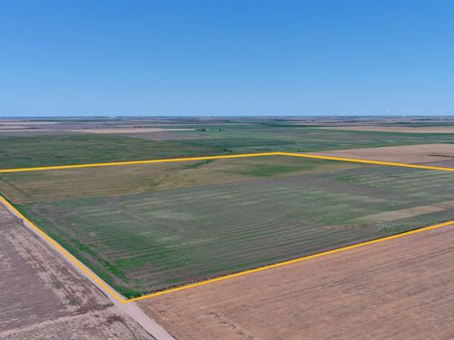 Jid Irrigated Farm : Ovid : Sedgwick County : Colorado