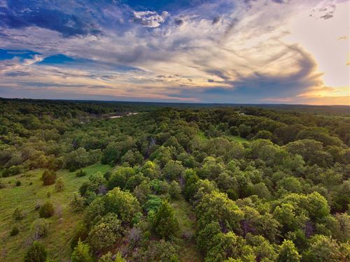 40 Acre Hunting & Recreation : Coalgate : Coal County : Oklahoma