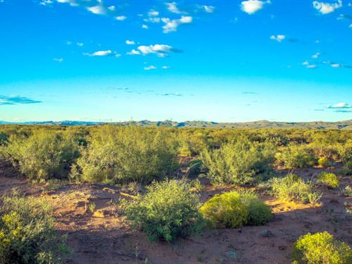Nature's Airbnb Awaits You : Van Horn : Culberson County : Texas