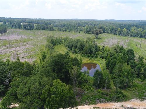 353 Acres Crenshaw Co : Highland Home : Crenshaw County : Alabama