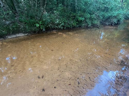 87 Ac Parker Creek Rd : Brantley : Crenshaw County : Alabama