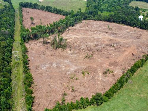 12 Ac Homesite With Creek in Ra : Ranburne : Cleburne County : Alabama