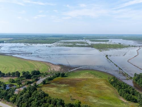 135 Acres in Georgetown, Arkansas : Georgetown : White County : Arkansas