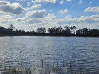 Lot 4, Two Pond Farms, 12.38 Acres : Citra : Marion County : Florida