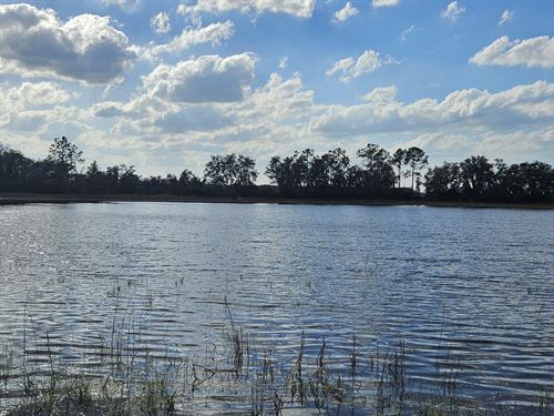 Lot 4, Two Pond Farms, 12.38 Acres : Citra : Marion County : Florida