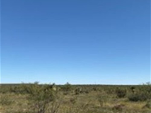 97 Ac, Only 4 Miles to Paved Hwy : Sierra Blanca : Hudspeth County : Texas