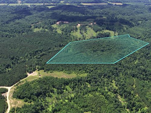 49 Acres, Power & Fiber Internet : Dover : Stewart County : Tennessee