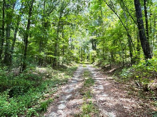 Oconee River Corridor Tract : Milledgeville : Baldwin County : Georgia