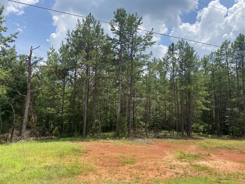 TN Land to Build On, 6 Acres : Savannah : Hardin County : Tennessee