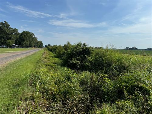 La, West Carroll 630 Acres : Goodwill : West Carroll Parish : Louisiana