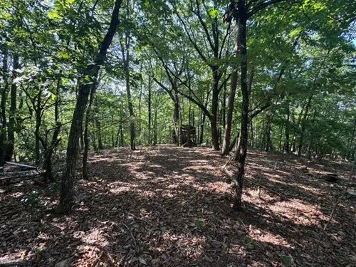 25 Acres on Scenic Mountain Dri : Pickens : South Carolina