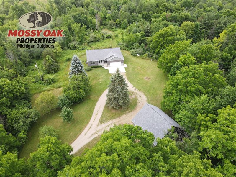 3600 Lamb Rd, Osseo, Mi, 25 Ac : Osseo : Hillsdale County : Michigan