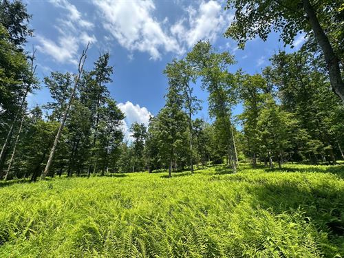 PA 879, Karthaus, Centre, 53.53 : Karthaus : Centre County : Pennsylvania