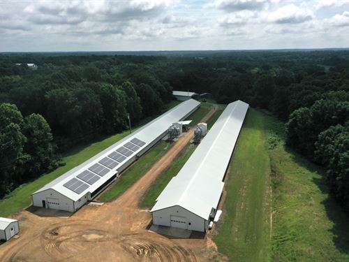 Pgs Poultry : Sedalia : Graves County : Kentucky