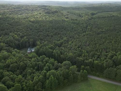 117.7 Acres in Franklin County : Vina : Franklin County : Alabama