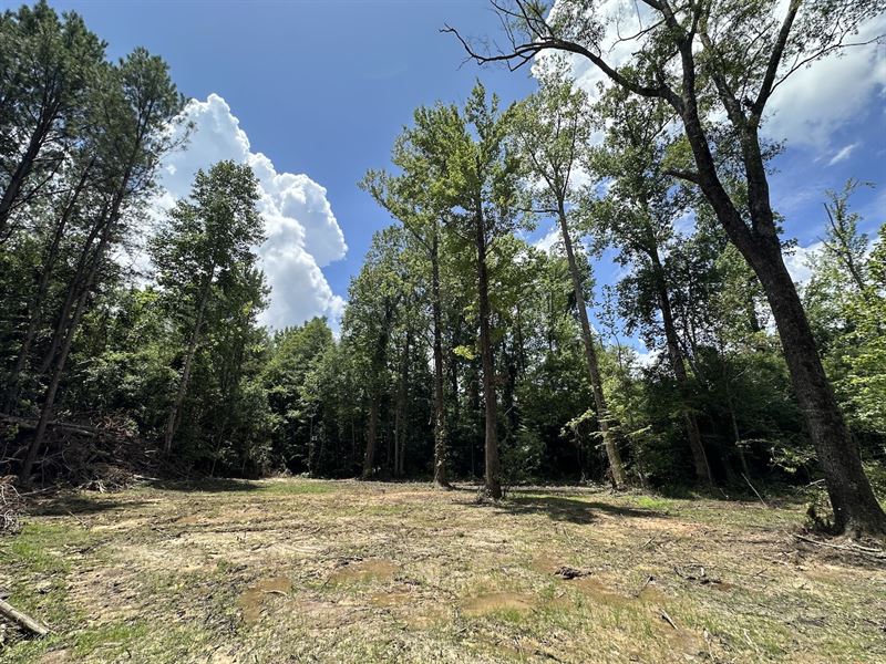 Church Road South Tract : McCool : Choctaw County : Mississippi