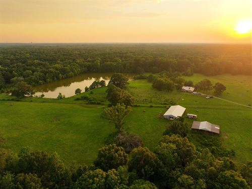 Turnkey Farm With Gorgeous Home : Hope Hull : Montgomery County : Alabama