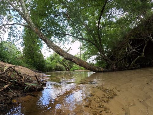 Camp Silver Creek, Recreational Re : Foxworth : Marion County : Mississippi