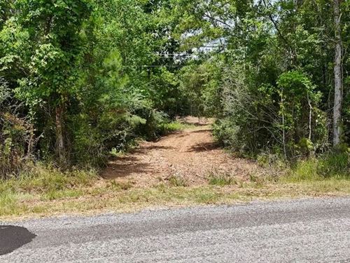 Small Hunting Tract For Sale in Ami : Liberty : Amite County : Mississippi