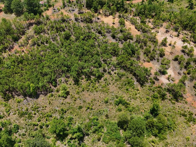 Vacant Land for Sale Ruston, La : Ruston : Lincoln Parish : Louisiana