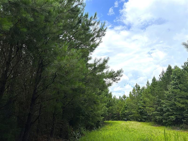 62-022 Denver Road 80 : Dadeville : Tallapoosa County : Alabama