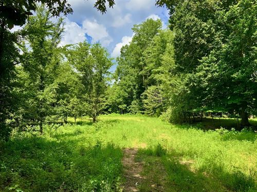 Private 5.04 Acre Lot With Power : Henry : Tennessee