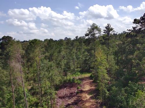 20 Acres of Land in Shelby County : Vincent : Shelby County : Alabama