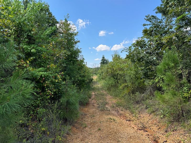 Countryside Charm : Brookhaven : Lincoln County : Mississippi