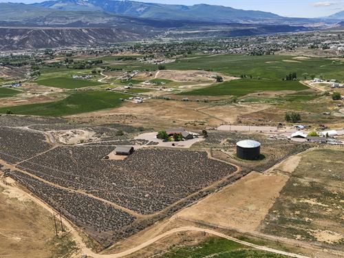 Estate for Sale in Rifle, Colorado : Rifle : Garfield County : Colorado