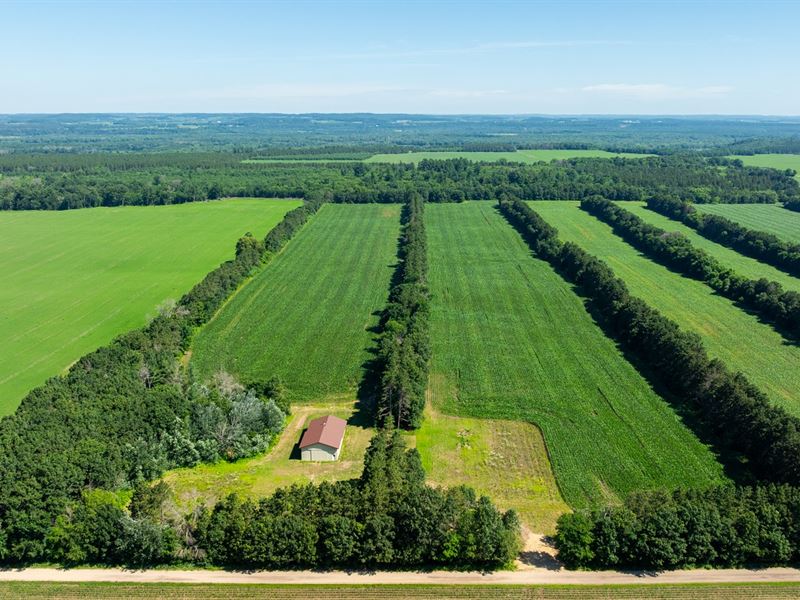28 Acres, Pole Shed Dunn County : Durand : Dunn County : Wisconsin