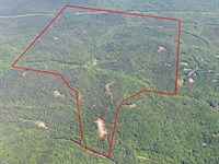 750 Ac Investment & Rec Opportunity : White : Cherokee County : Georgia
