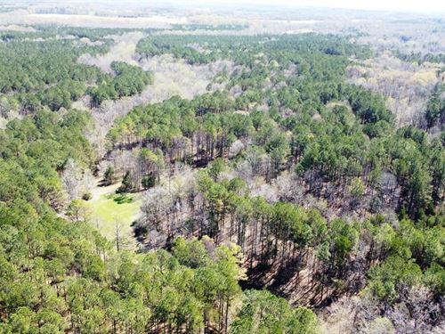 Hinkle Creek 200 : Rienzi : Alcorn County : Mississippi