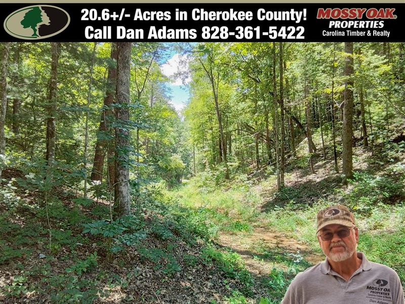 20.69 Acres Bordering Usfs and No : Murphy : Cherokee County : North Carolina