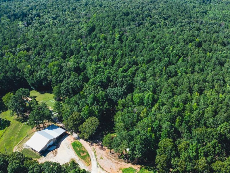 Blackjack Mountain Retreat-143 : Bowdon : Carroll County : Georgia