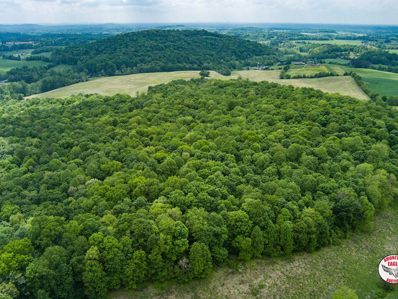 31 Acres with Barns & Timber : Albany : Clinton County : Kentucky