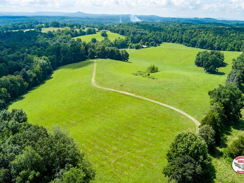 160 +/- Ac Farm with Mobile Home : Albany : Clinton County : Kentucky