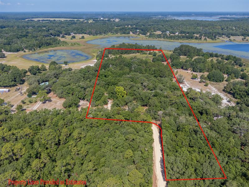 Immensely Beautiful 14.13 Acres : Melrose : Clay County : Florida